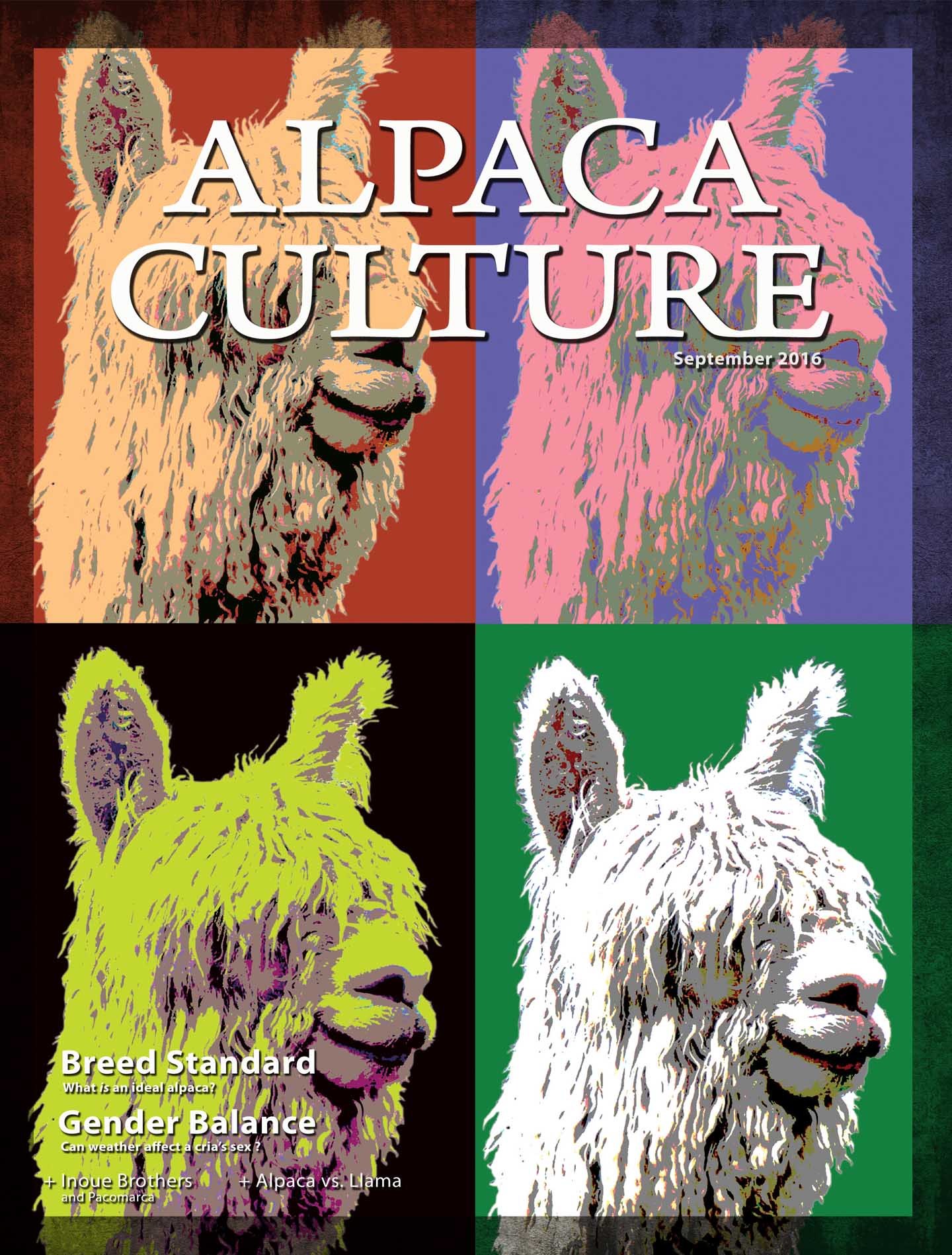 Alpaca Culture