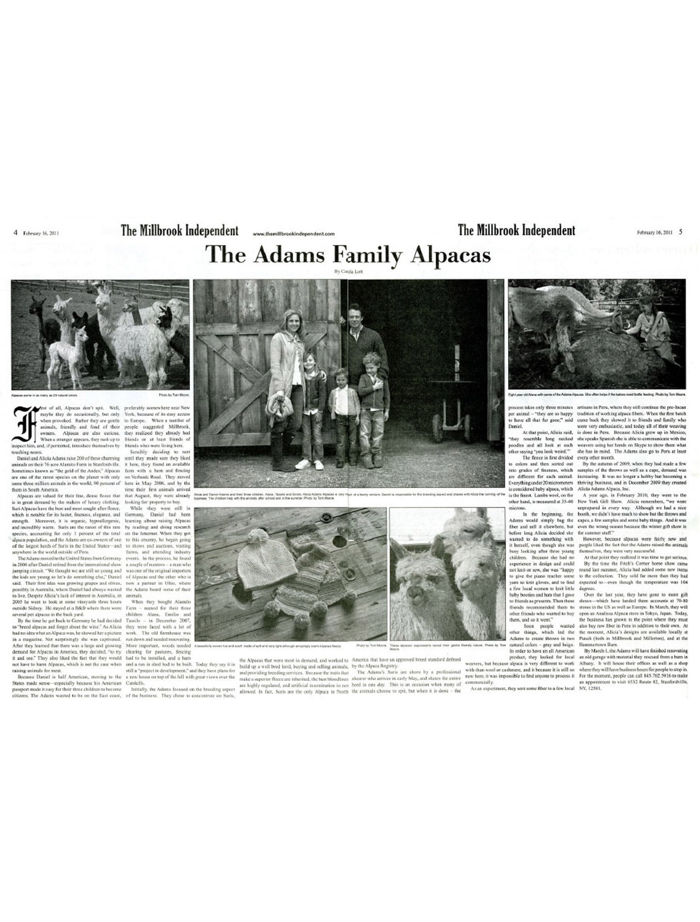 The Millbrook Independent