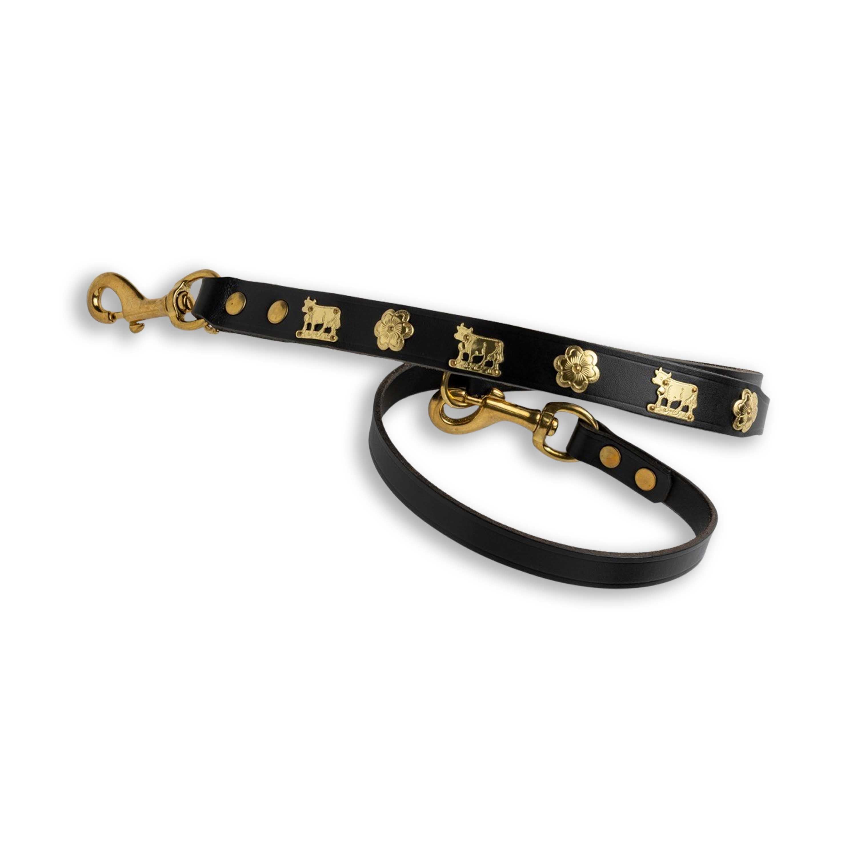 Dog Leash