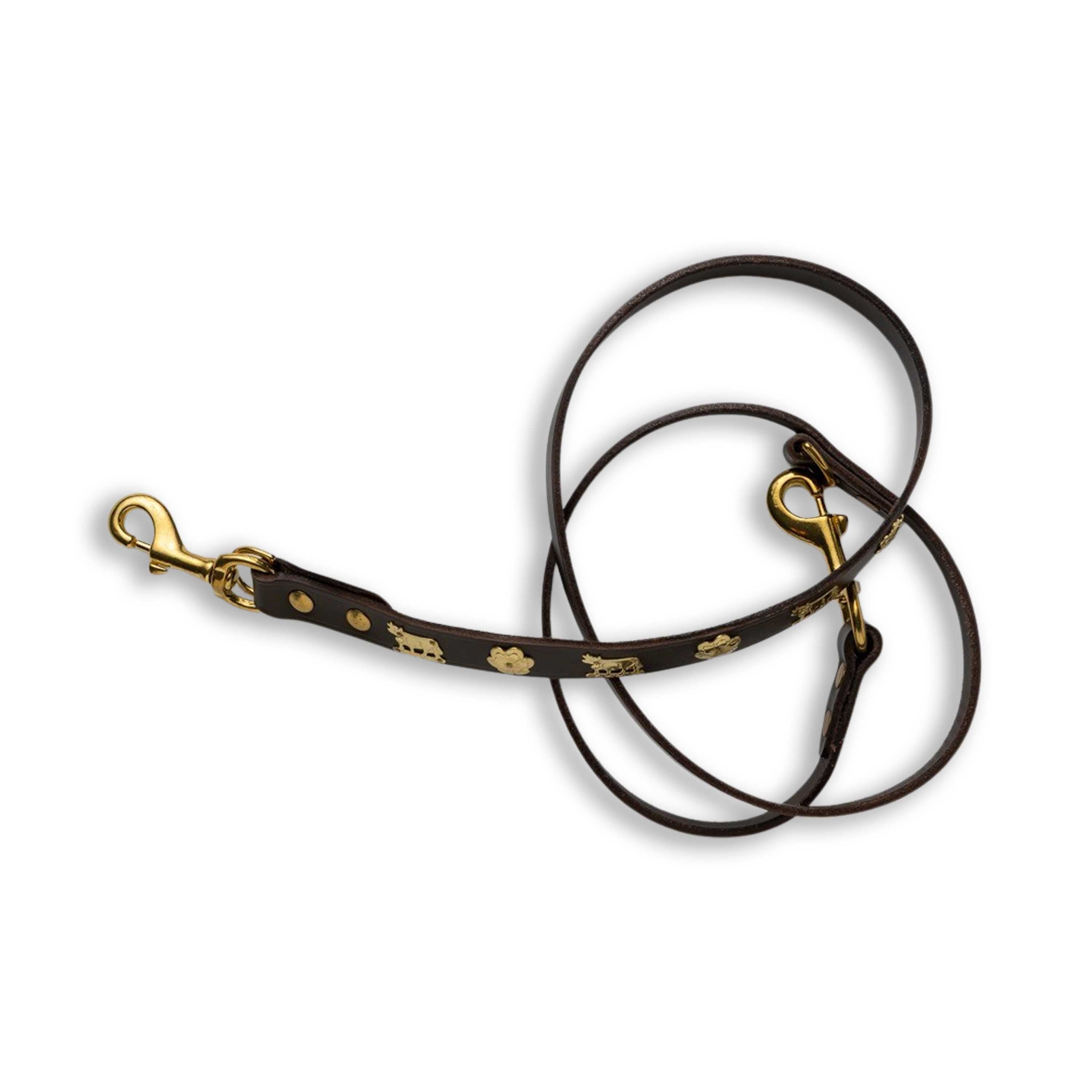 Dog Leash