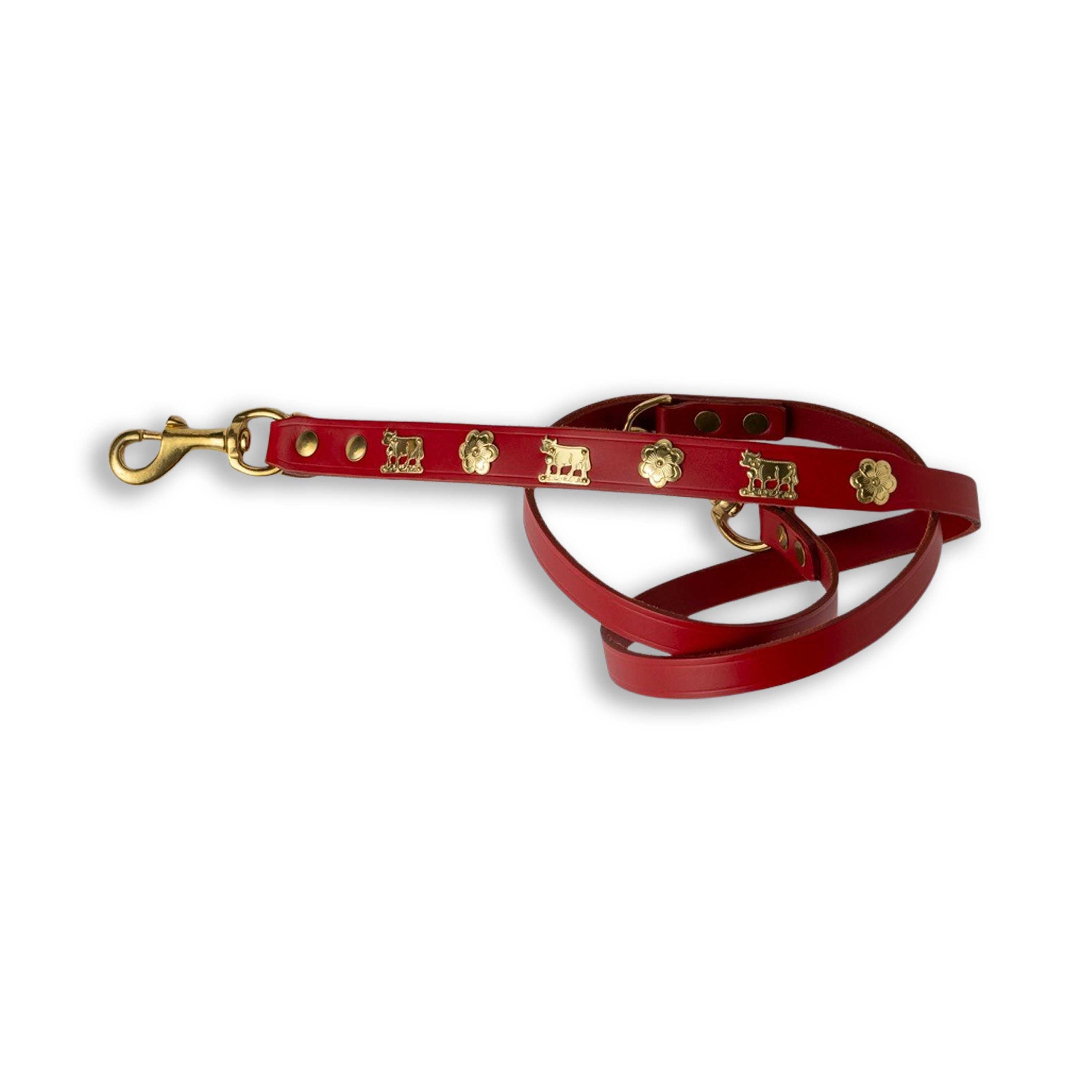 Dog Leash