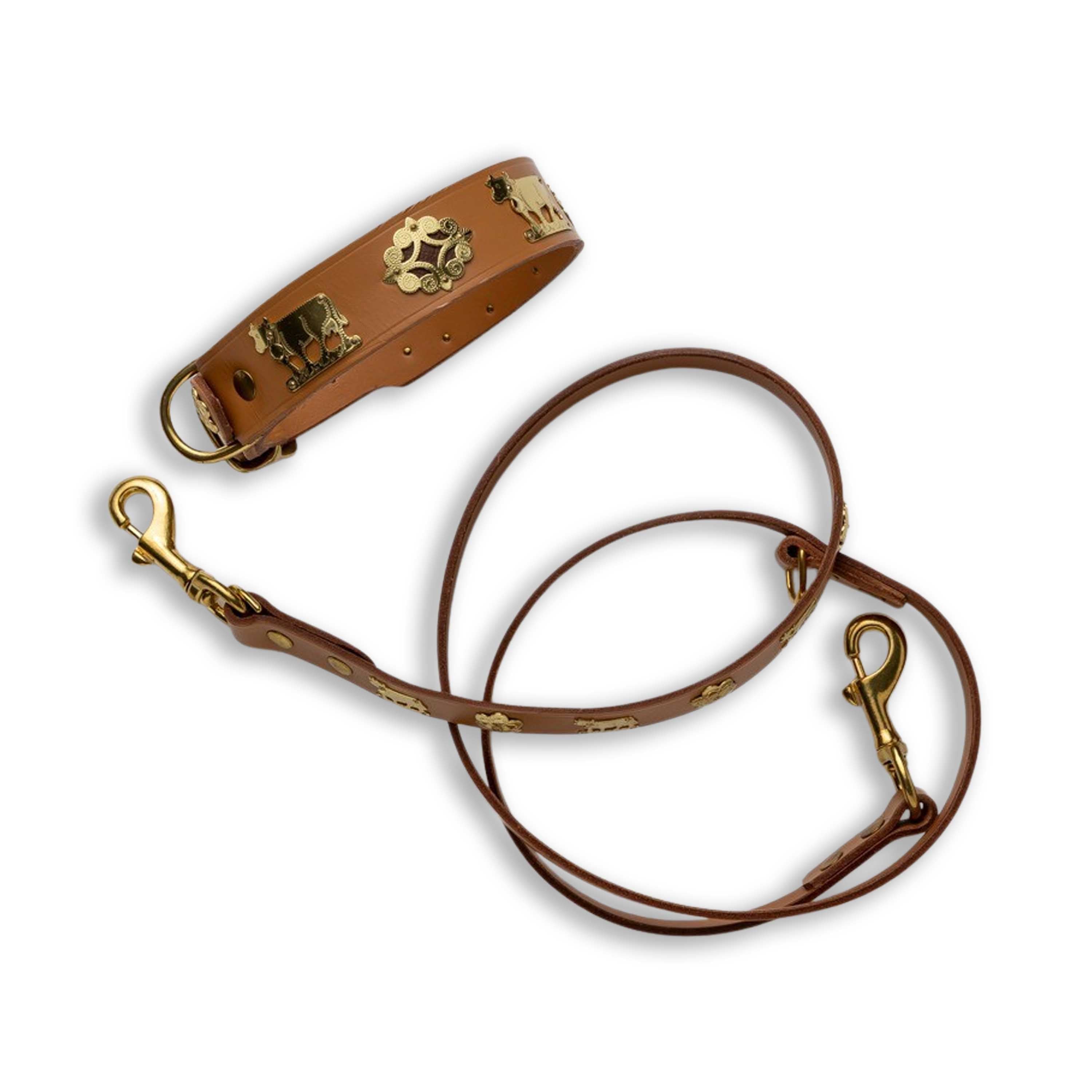 Dog Collar
