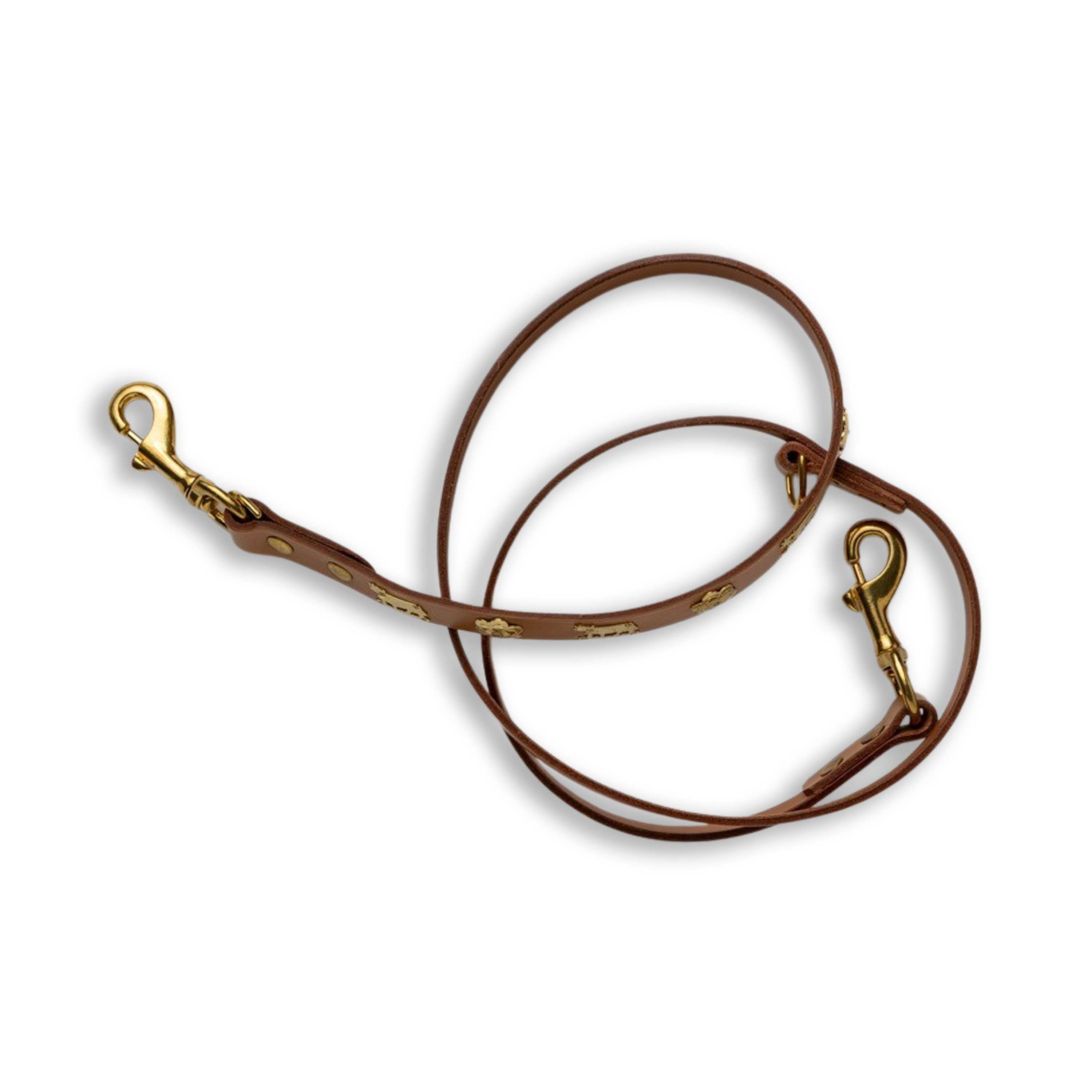 Dog Leash
