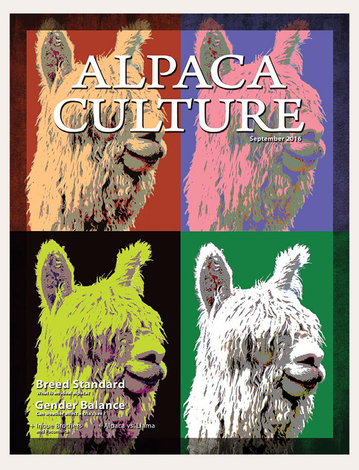 Alpaca Culture