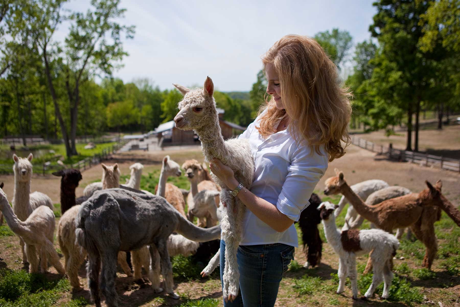 Is It Time to Break Up with Cashmere? Let’s Talk Alpaca