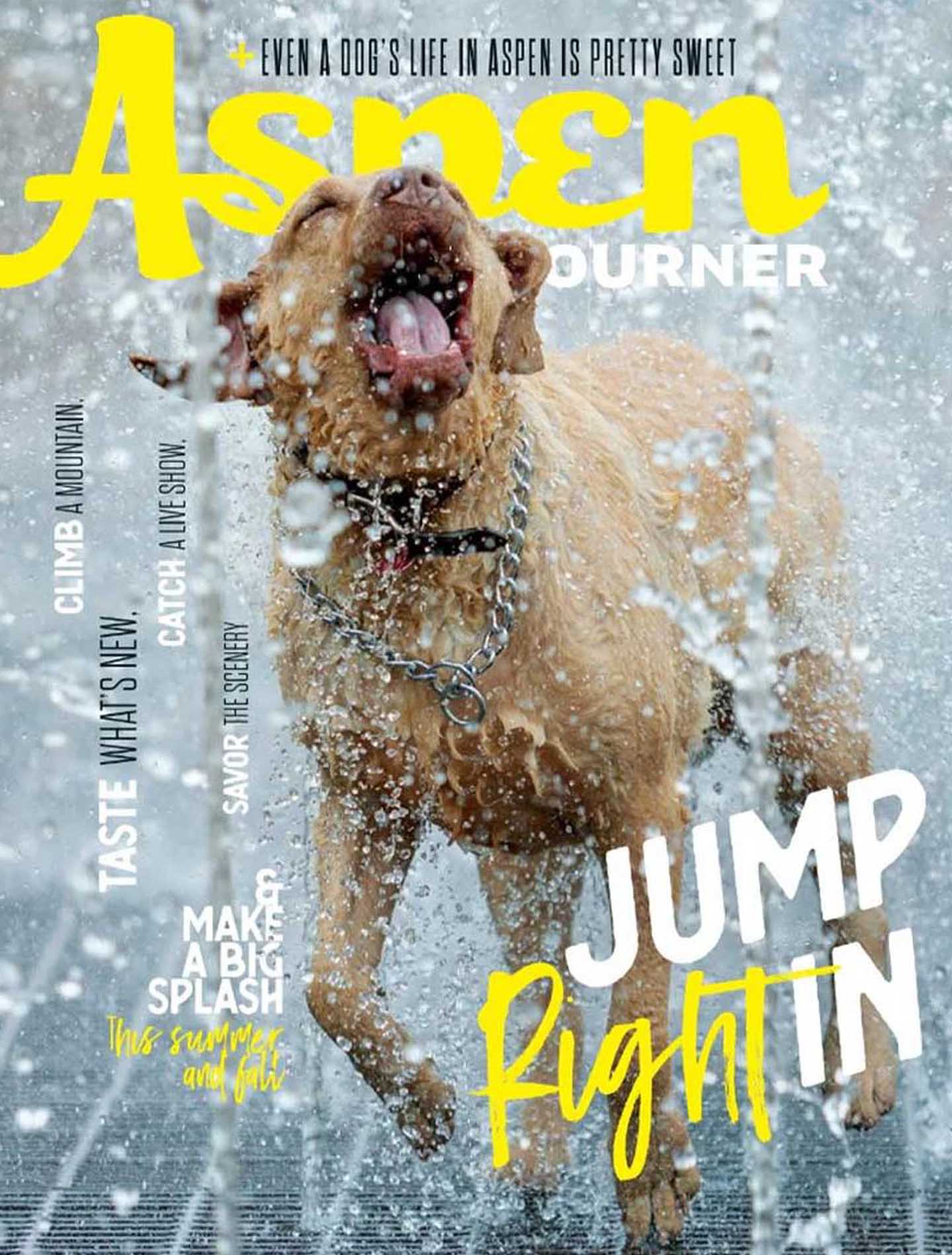Aspen Sojourner-Jul-2021