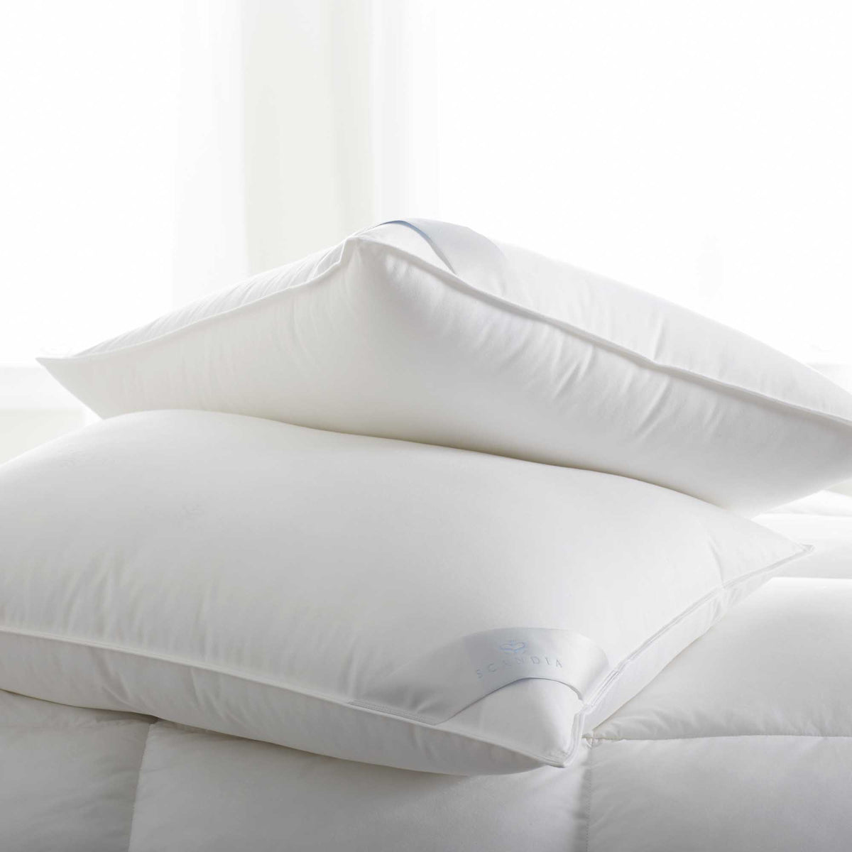 Bergen Down Free Pillow