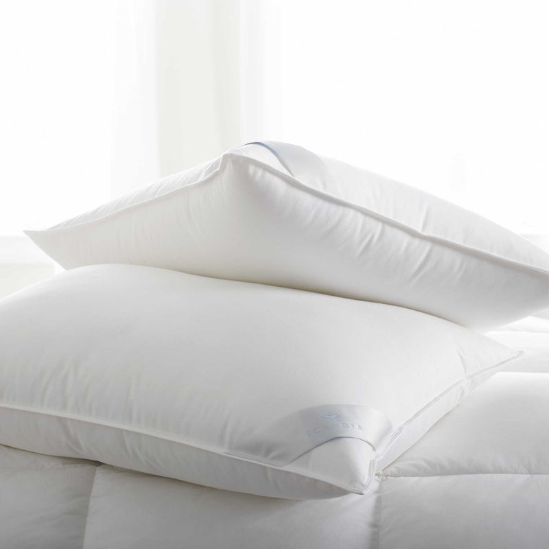 Bergen Down-Free Pillow