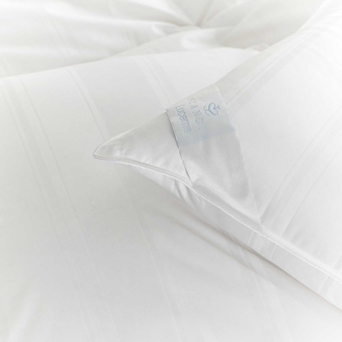 Lucerne Down Pillow