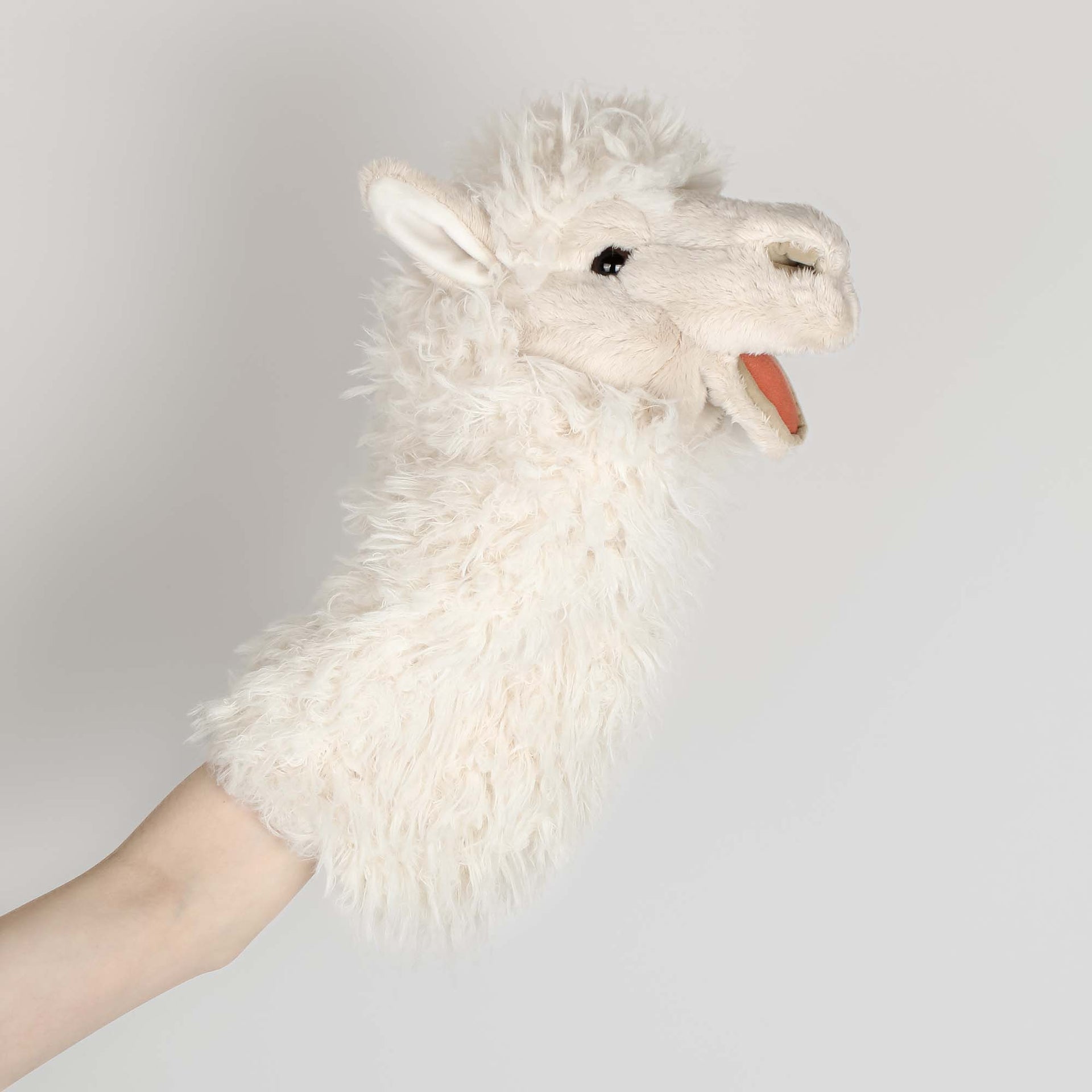 Puppet