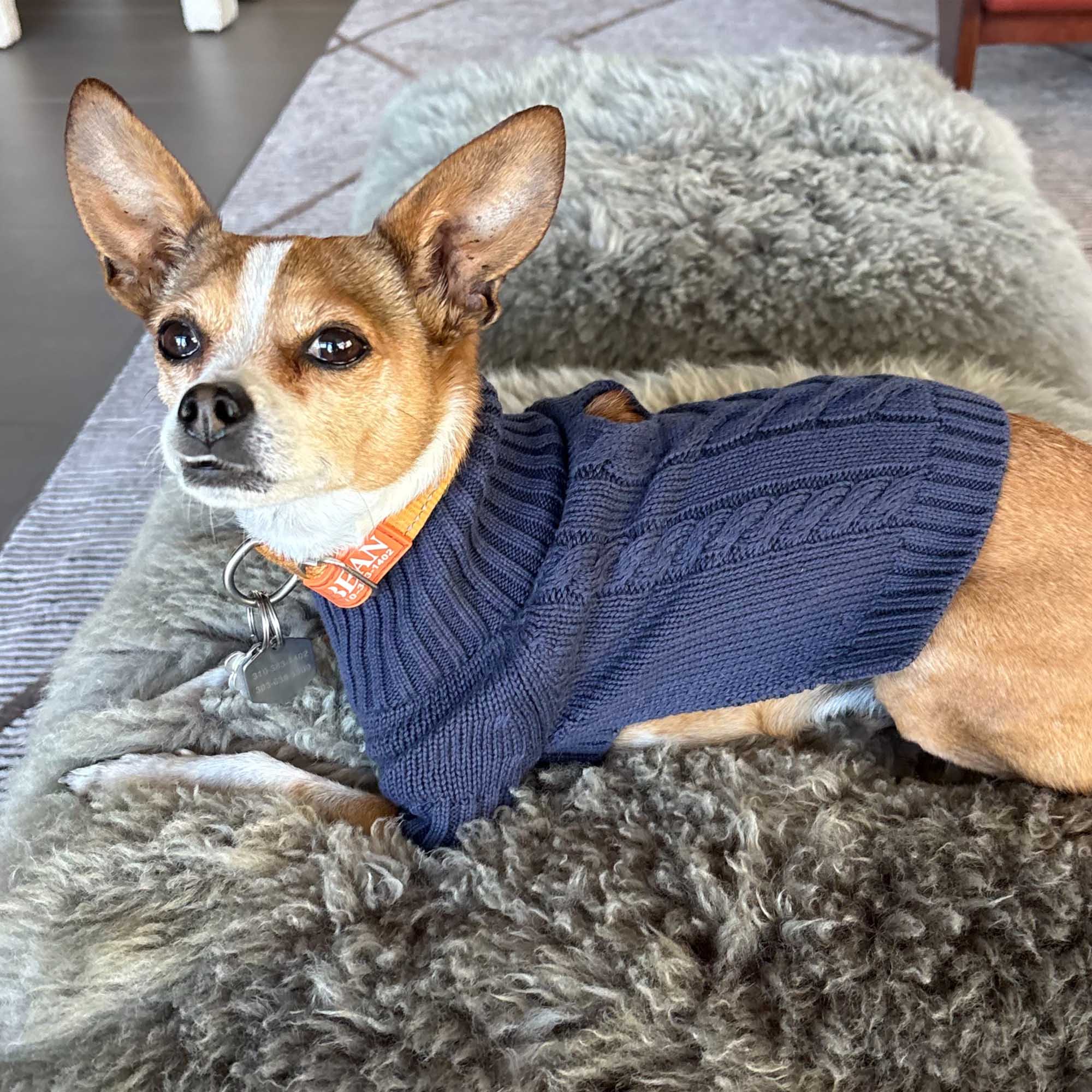 Dixie Dog Sweater